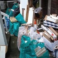 Портфолио Edith Newton 